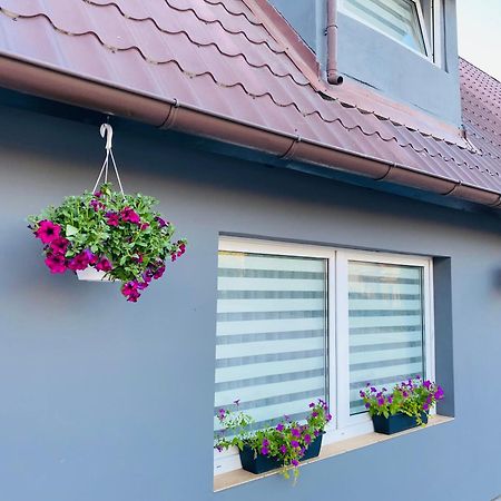 Apartamenty Pod Wieza 1 Hohenstein Exterior foto